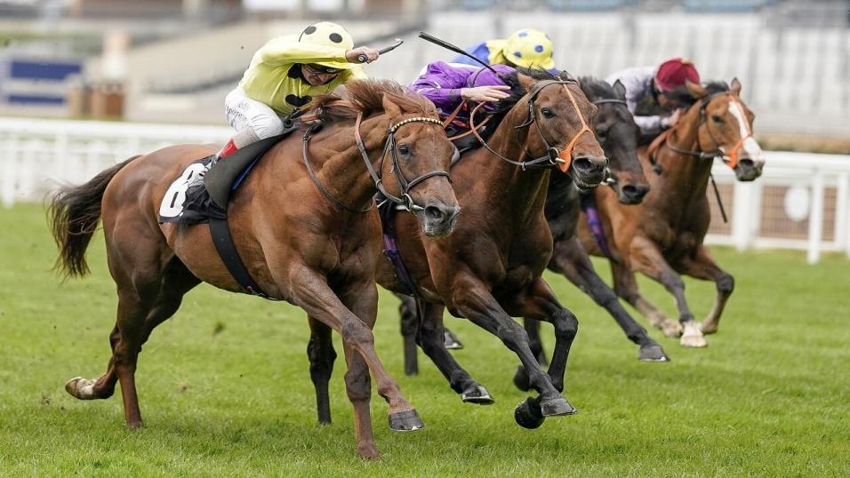 Ascot